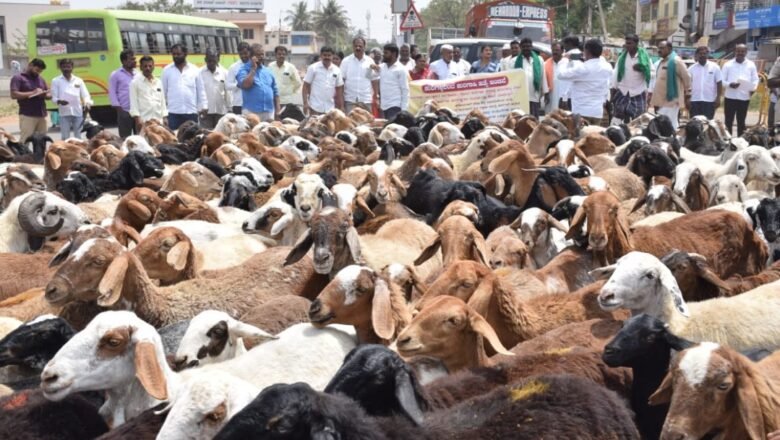 ರಾಜ್ಯದಲ್ಲಿ ಕುರಿಗಾರರ ಮೇಲಿನ ದೌರ್ಜನ್ಯ ಖಂಡಿಸಿ ಪ್ರತಿಭಟನೆ: