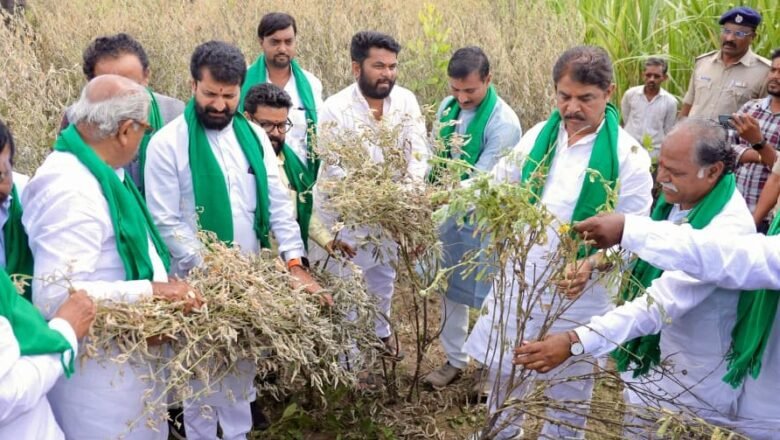 ಬೆಳೆ ಹಾನಿ ತಕ್ಷಣ ಸಮೀಕ್ಷೆ ನಡೆಸಿ ಪರಿಹಾರ ನೀಡಿ: ಸರ್ಕಾರಕ್ಕೆ ಬಿಜೆಪಿ ಆಗ್ರಹ