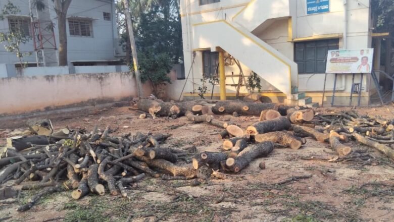 ಜಗಳೂರಿನ ಸರ್ಕಾರಿ ಕಚೇರಿ ಬಳಿ ಮರಗಳ ತೆರವು: ಪರಿಸರ ಕಾಳಜಿ ಮರೆತ ಅಧಿಕಾರಿಗಳ ವಿರುದ್ಧ ಜನಾಕ್ರೋಶ