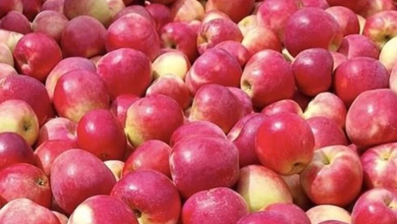 ಪ್ರಿಡಿಯಾಬಿಟಿಸ್‌, ಮಧುಮೇಹ ನಿಯಂತ್ರಣಕ್ಕೆ ಸೇಬು ಸಹಾಯಕವೇ?