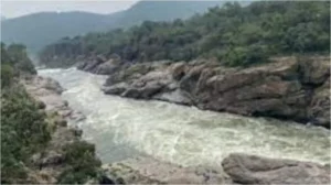 ಮೇಕೆದಾಟು ಯೋಜನೆ ವಿರೋಧಿಸಿ ಸಂಸತ್‌ನಲ್ಲಿ ಡಿಎಂಕೆ ಹೋರಾಟ; ತುರ್ತು ಚರ್ಚೆಗೆ ಆಗ್ರಹ