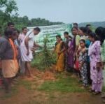 ಕಮ್ಮಾಜೆಯಲ್ಲಿ ವನಮಹೋತ್ಸವ: ಪರಿಸರ ಸಂರಕ್ಷಣೆಗೆ ಸಸಿ ನೆಡುವ ಸಂಕಲ್ಪ