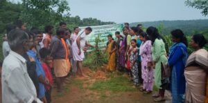 ಕಮ್ಮಾಜೆಯಲ್ಲಿ ವನಮಹೋತ್ಸವ: ಪರಿಸರ ಸಂರಕ್ಷಣೆಗೆ ಸಸಿ ನೆಡುವ ಸಂಕಲ್ಪ