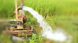 ಭಾರತ–ಇಯು ಮುಕ್ತ ವ್ಯಾಪಾರ ಒಪ್ಪಂದದಿಂದ ರೈತರು, ಎಂಎಸ್‌ಎಂಇ, ಸ್ಟಾರ್ಟ್‌ಅಪ್‌ಗಳಿಗೆ ಅವಕಾಶ: ಪಿಯೂಷ್ ಗೋಯಲ್